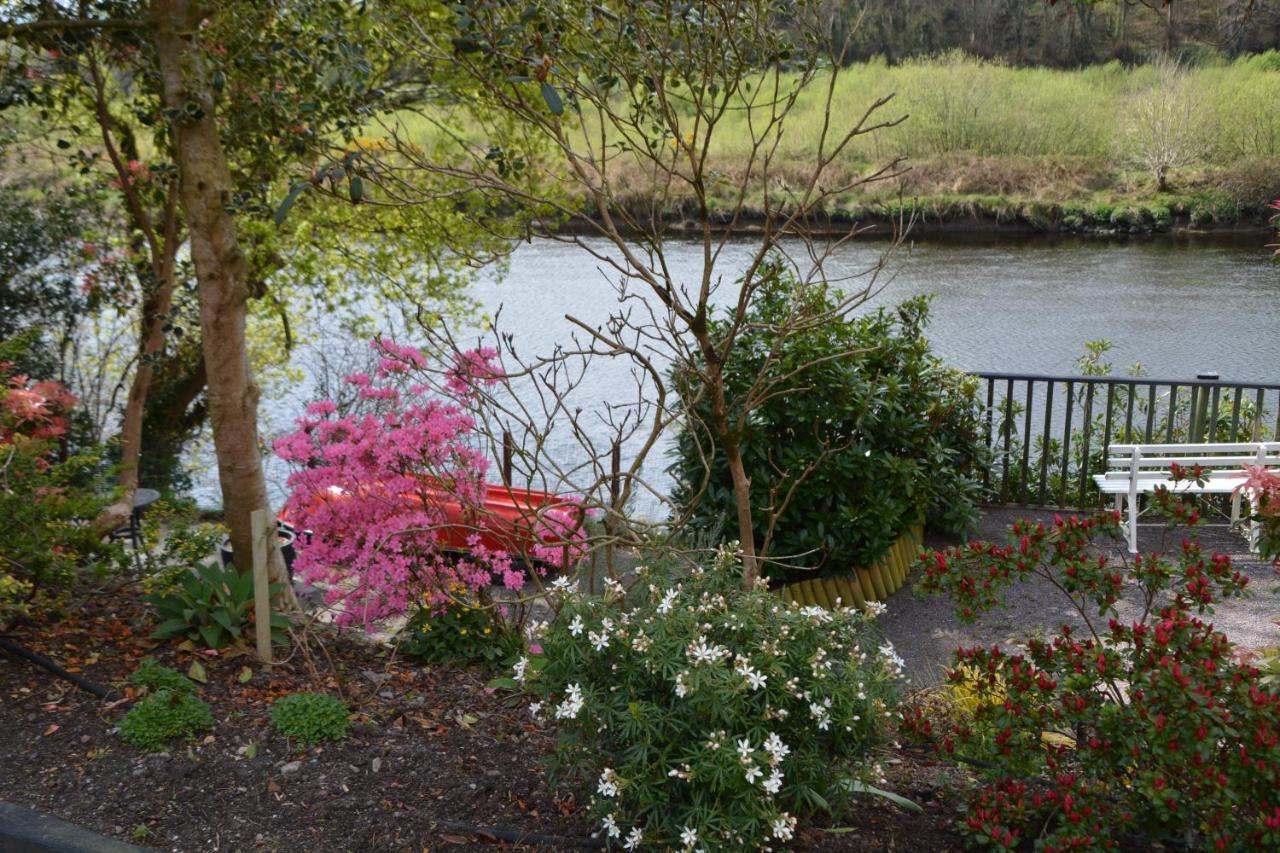 The Grove Lodge Guesthouse Killorglin Exterior photo